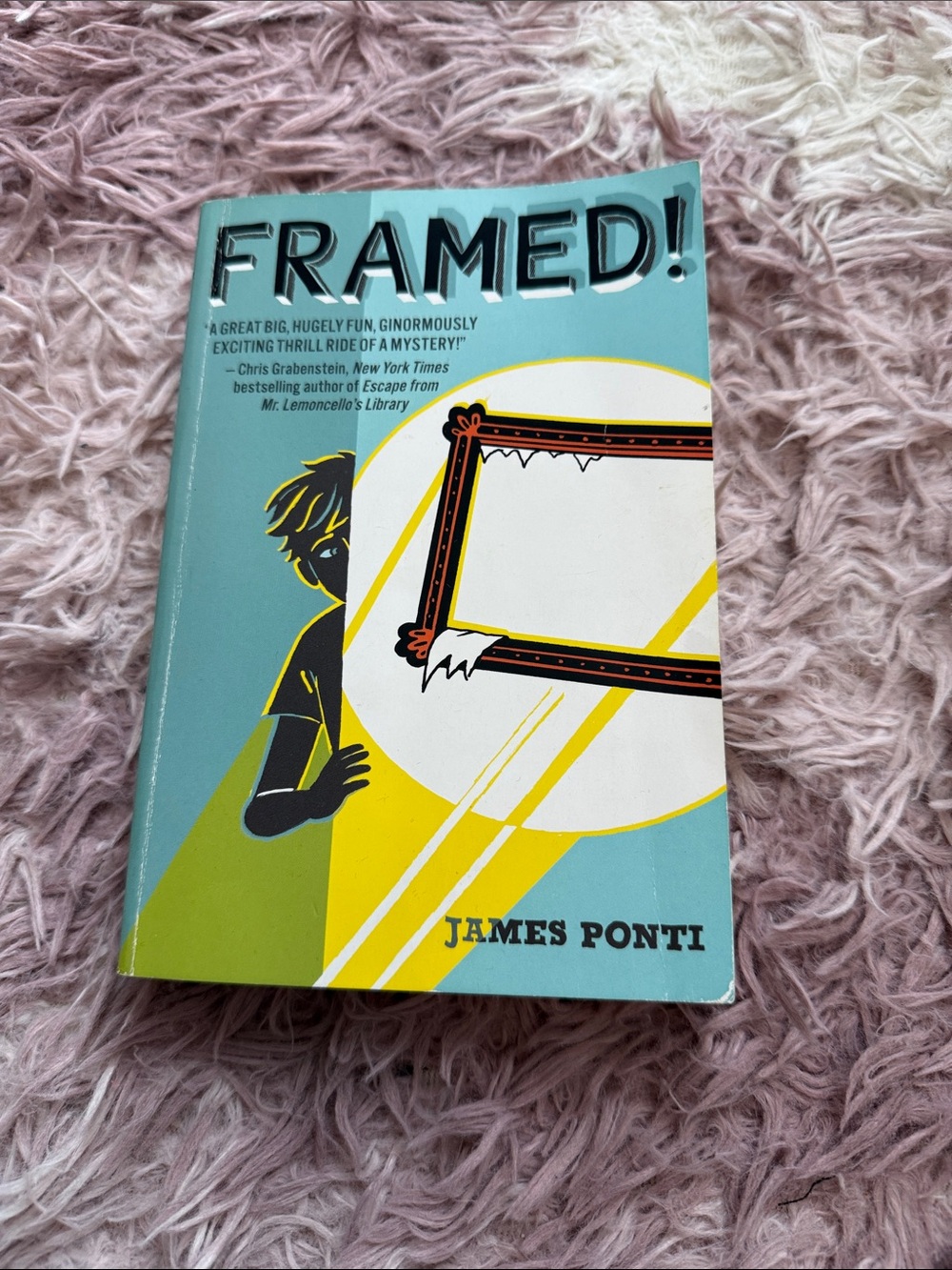 FRAMED! Hardcover Book – Teal and Yellow Cover